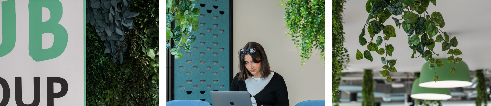 biophilia in office design benefits