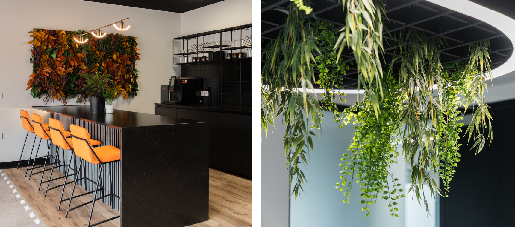 biophilia design in the workplace