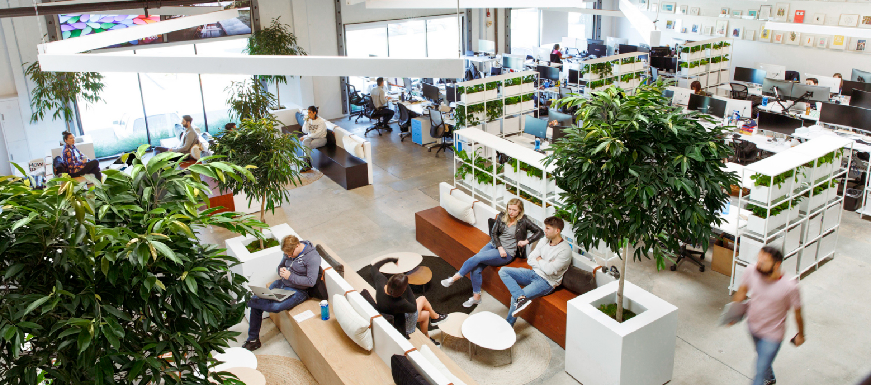 Calibro Workspace Office Design and Fitout Specialists - Office Snapshots — goguardian-offices-el-segundo