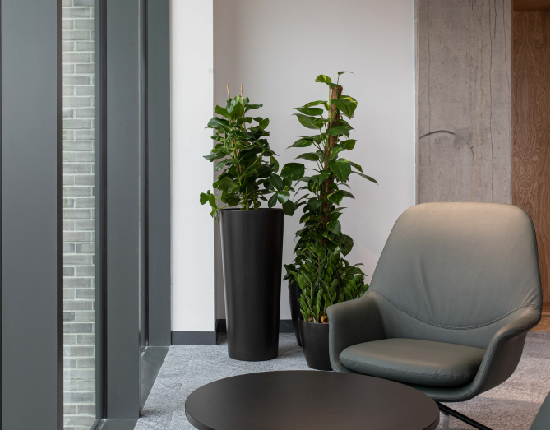 Office refurbishment or relocation? Office plants alongside an occasional chair and coffee table