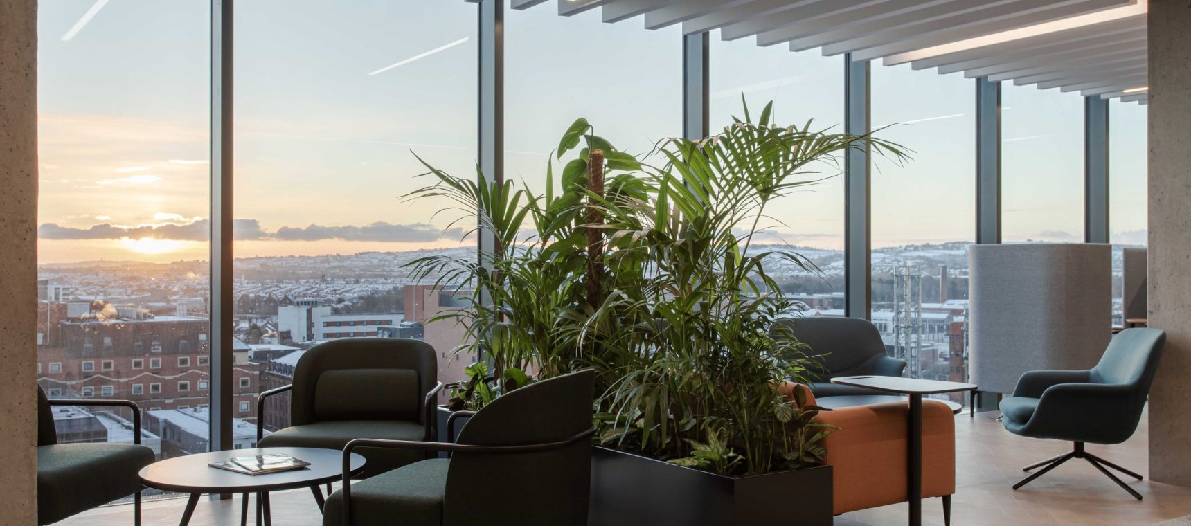 biophilia in the workplace