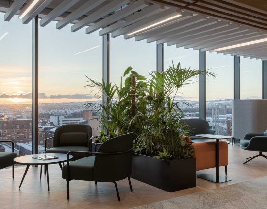 biophilia in the workplace