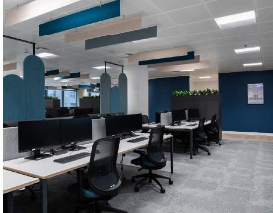 An open plan office with acoustic ceiling baffles