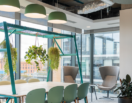 Collaboration table with hanging plants