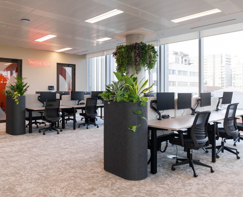 Origina office design and fitout - open plan desking and phone booths